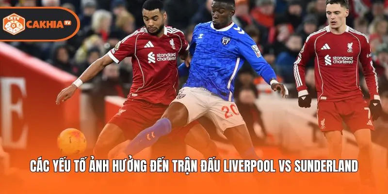 Các yếu tố ảnh hưởng đến trận đấu Liverpool Vs Sunderland
